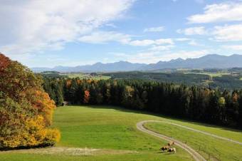 Lamplhof