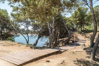 Ver fotos