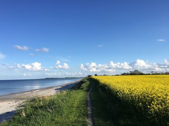 Barfusspark