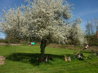 La Ferme de Boh�me