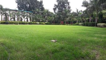 Hotel Shree Jee