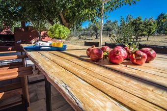 Estate Olive Grove