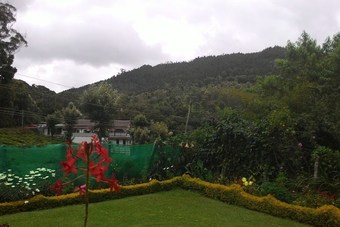 Ver fotos