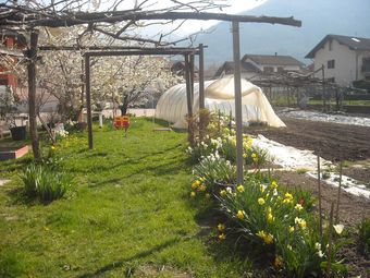 Agroturismo Agriturismo Bortolotti