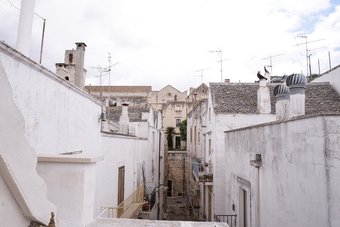 Ver fotos