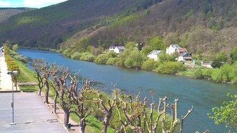 Hotel Le Bois Bryas