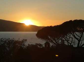 Hotel Artemisia Life