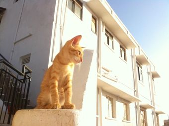 Ver fotos
