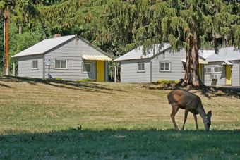 Idle A While Cabins