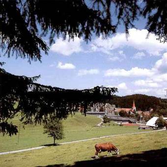 Landhotel Rebstock