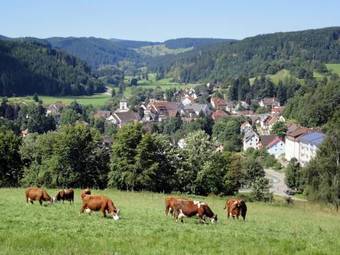 Hotel Schw�rer