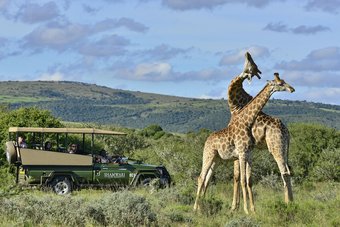 Posada Shamwari Riverdene - All Inclusive