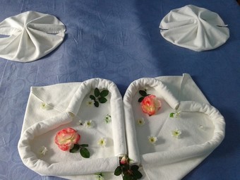 Ver fotos