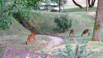 Hotel La Maison D'h�tes D'une Autre Nature