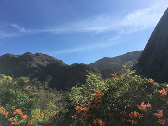 Ver fotos