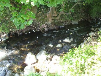 Glanaber B&B