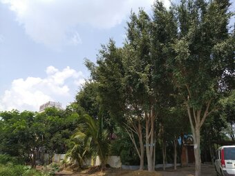 Hotel Sawali