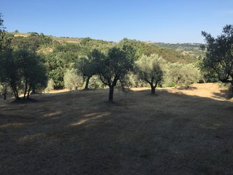 Agroturismo Agriturismo Campo Al Crognolo