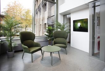 The Studio Hotel