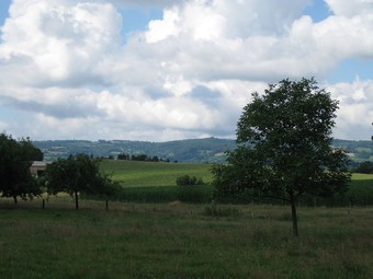 Hotel Le Petit Clos