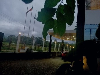 Hotel Lion Nature