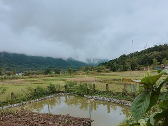 Ver fotos
