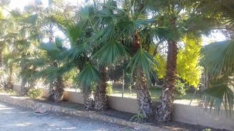 House With One Bedroom In Librilla, With Wonderful Mountain View, Private Pool, Enclosed Garden