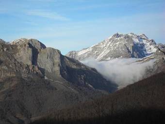 Hostal Remo�a