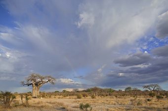 Hotel Ruaha Dream Villa