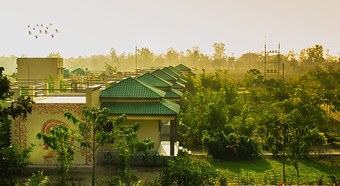 Villa Olive Resorts