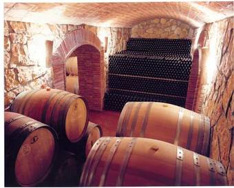 Apartamento Enoturismo Celler Pi�ol