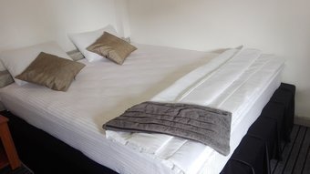 Hotel Mango Roots