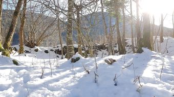 Naturezenkota