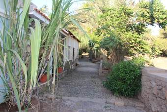 Apartamento Laranjinha