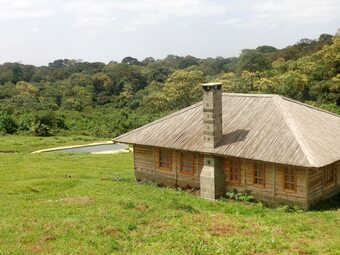Posada Castle Forest Lodge