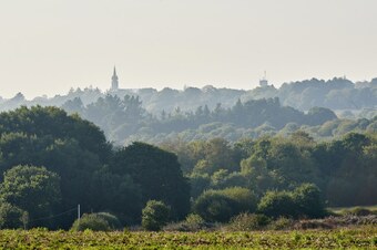 La Clef Des Champs