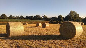 Bed & Breakfast Le Douitel