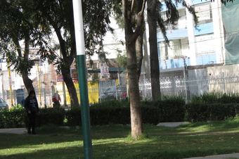 Ver fotos
