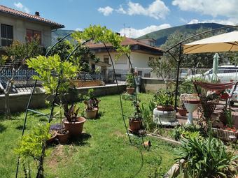 B&B Il Brucaliffo