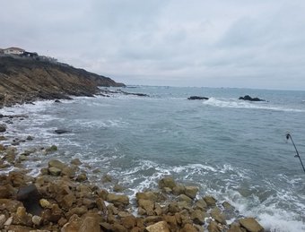 Ver fotos