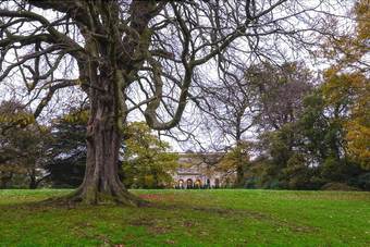Hotel Alfreton Hall