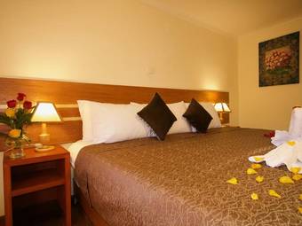 Ver fotos
