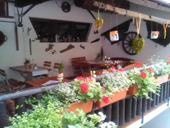 Pension Landgasthof Zur M�hle