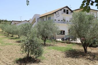 B&B La Primula