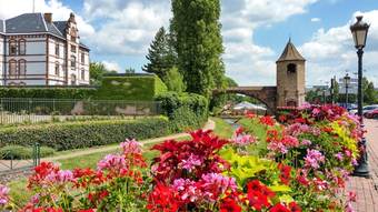Apartamento Studio In Haguenau, With Wonderful City View, Furnished Balcony And Wifi