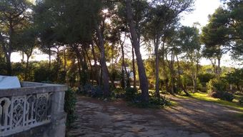 Ver fotos