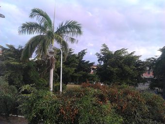 Ver fotos