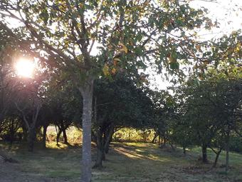 Charming And Modern G�te With Heated Swimming Pool In Rural Setting Near Angers