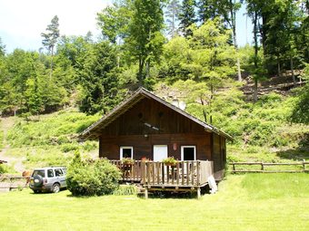 Cozy Holiday Home In Dabo Near Forest
