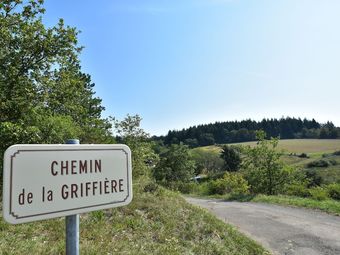 Ver fotos